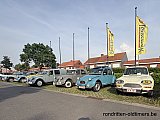 Zandlemig Vlaanderen